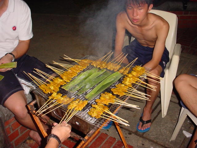 '(Names from L to R): Chicken Satay 1, Chicken Satay 2, Chicken Satay 3, Chicken Satay 4, Chicken Satay 5, Chicken Satay 6, Chicken Satay 7,...'